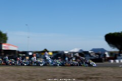 KS-200926-0537.jpg