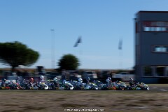 KS-200926-0539.jpg