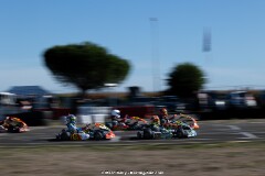 KS-200926-0623.jpg