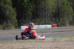 KS-200926-0833.jpg