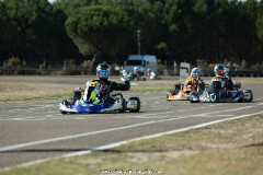 KS-200926-0959.jpg
